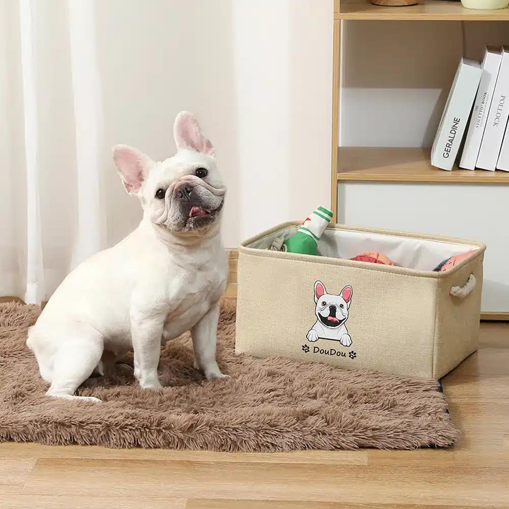 Personalized Dog Toy Basket - Image 4