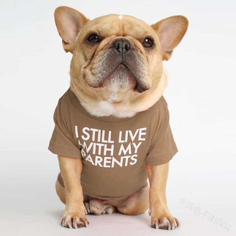 Printed T-Shirts - Image 4