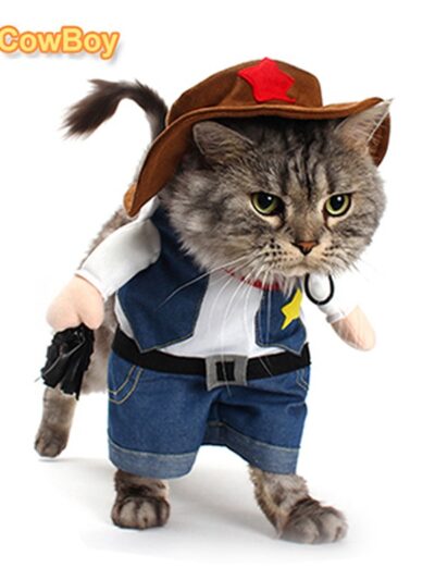 Cowboy Costume