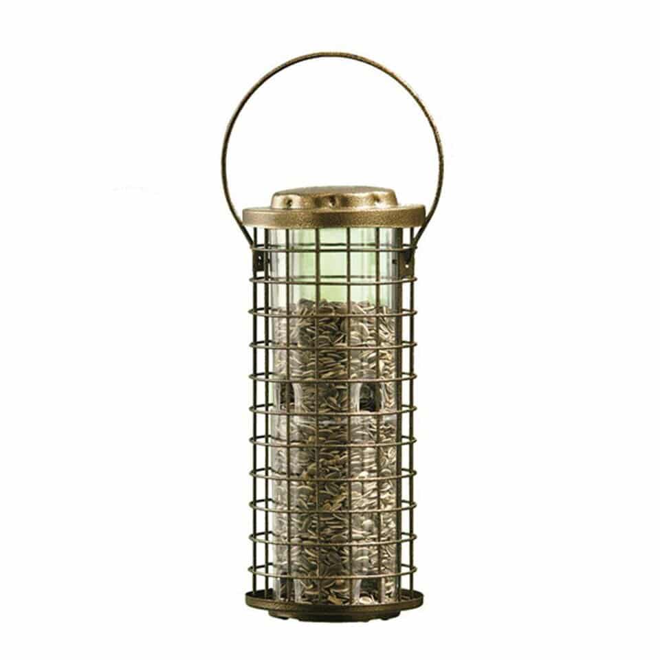 Bird Feeder Squirrel Stumper