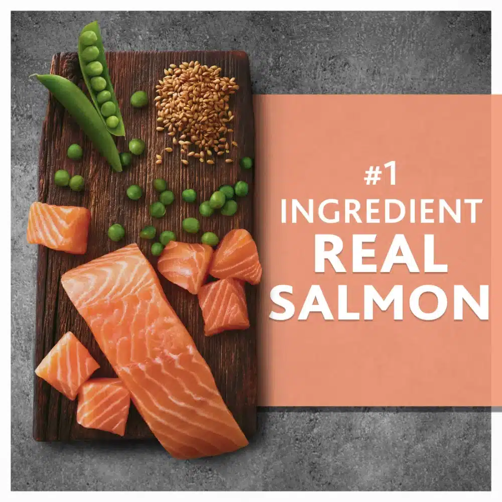 Pure Balance Wild & Free Salmon & Pea Recipe Dry Dog Food, Grain-Free, 24 lbs - Image 3