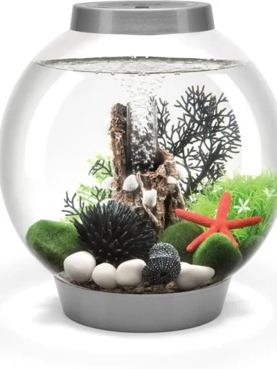 Classic 15 Acrylic 4 Gallon Aquarium With White LED Light Modern Compact Tank for Tabletop or Tabletop Monitor Fishbowl Fish Pet