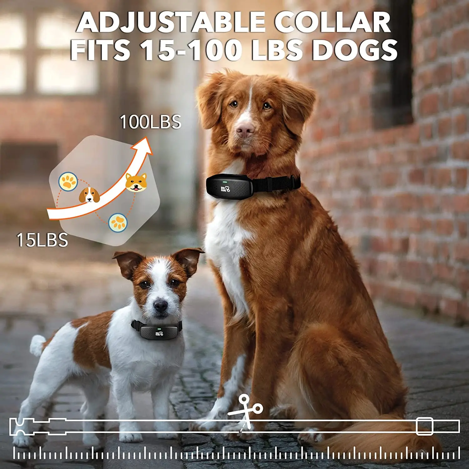DOGCARE TC05 Digital Dog Training Collar Waterproof Rechargeable Remote Control Anti-Bark Pet Stop Shock Collar Electric Shocker - Image 4