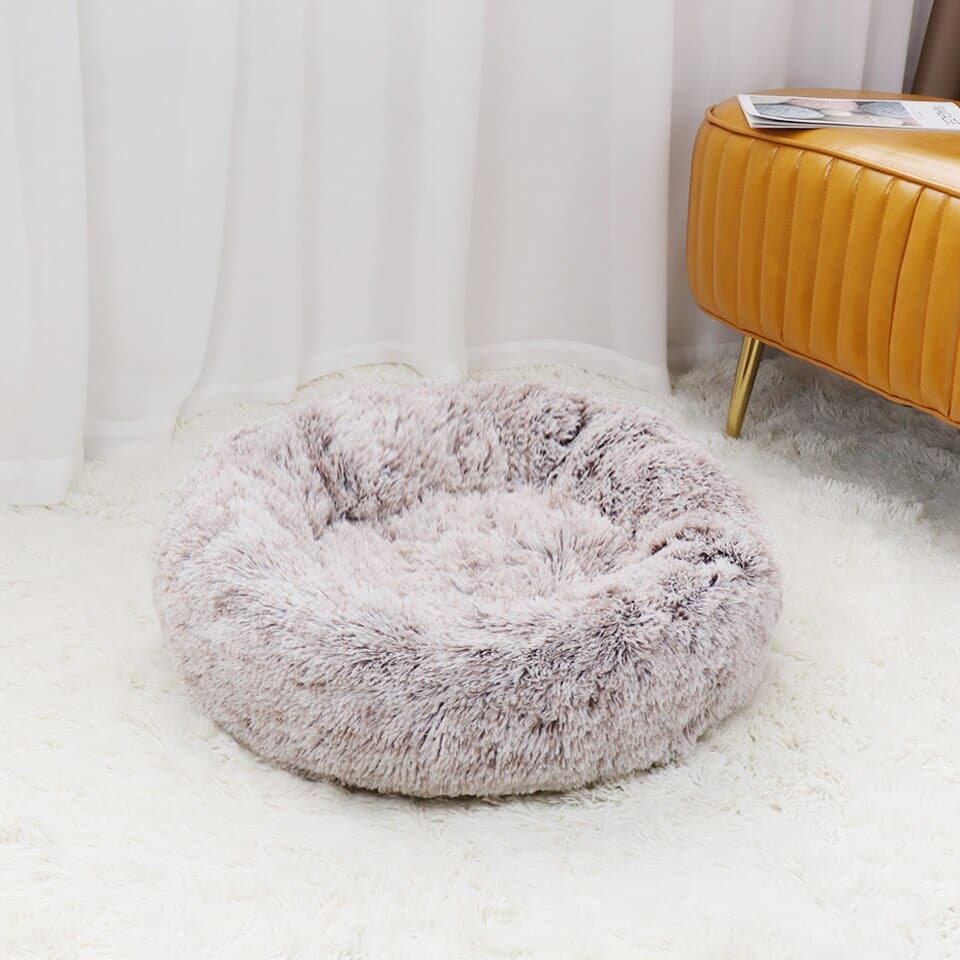 Super Soft Dog - Image 13