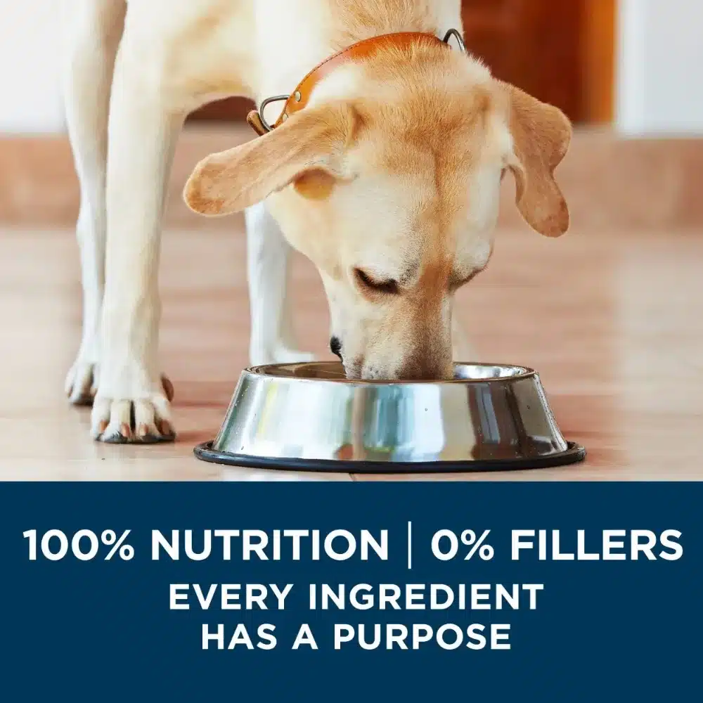 Purina One +Plus Dry Dog Food for Large Adult Dogs High Protein, Real Chicken, 31.1 lb Bag - Image 5