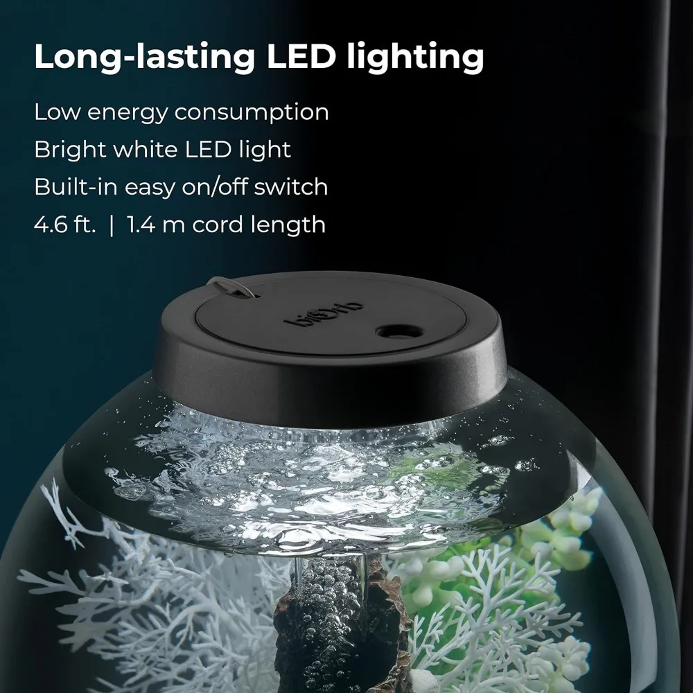 Classic 15 Acrylic 4 Gallon Aquarium With White LED Light Modern Compact Tank for Tabletop or Tabletop Monitor Fishbowl Fish Pet - Image 3