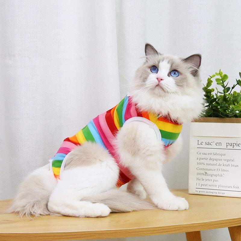 Fruit Print Cat Suit - Image 7