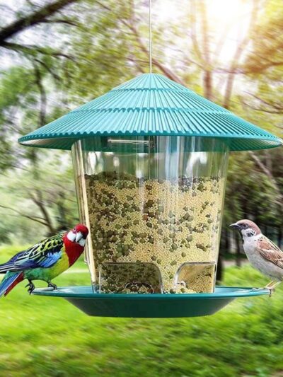 Hummingbird Feeder