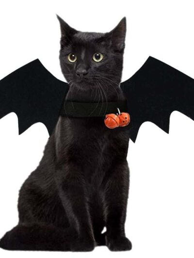 Bat Wings Cosplay