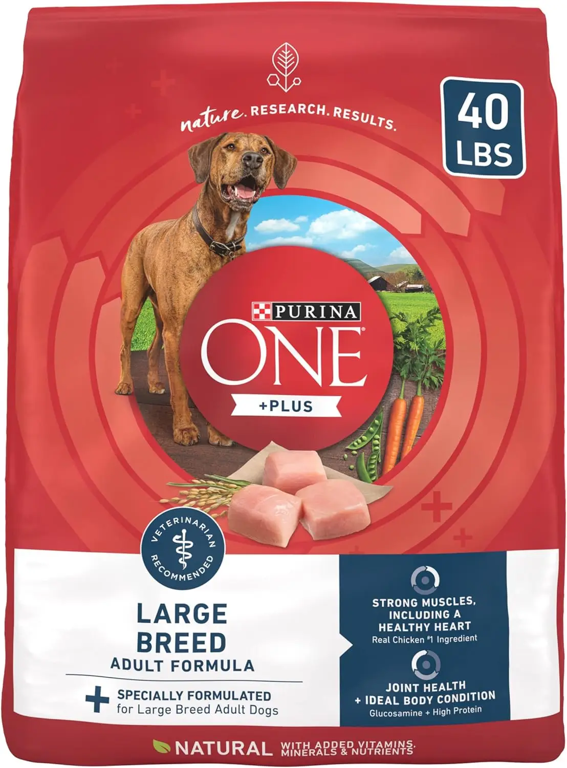 Plus Large Breed Adult Dog Food Dry Formula - 40 lb. Bag