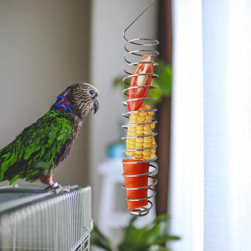 Stainless Steel Bird Feeder - Image 6