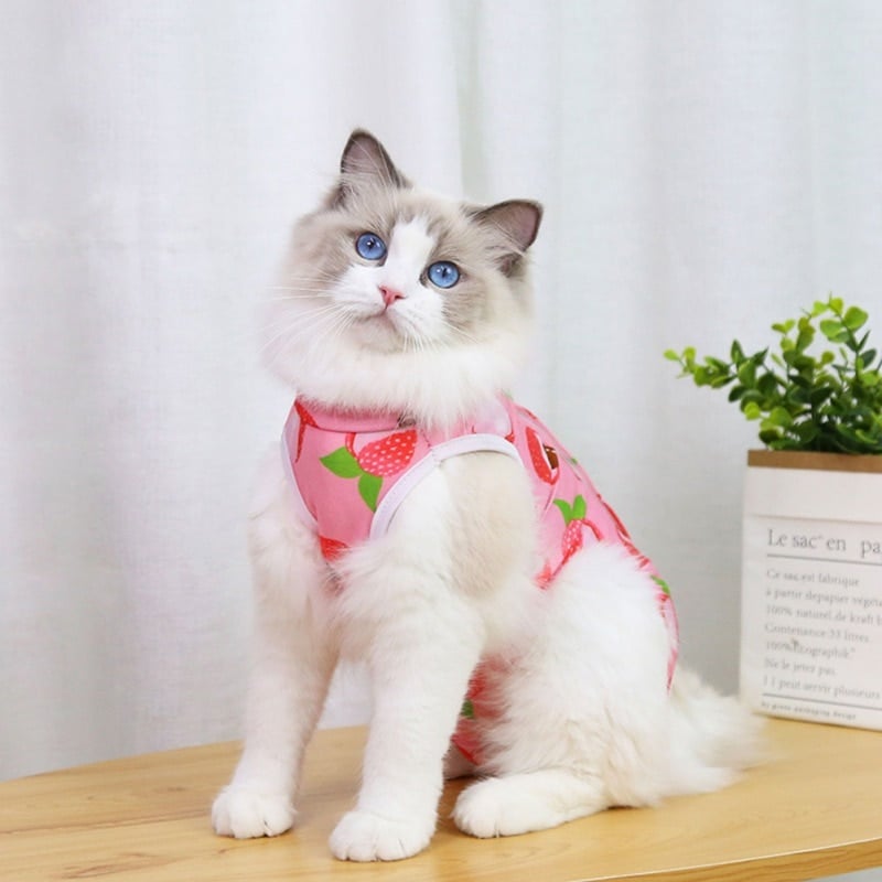 Fruit Print Cat Suit - Image 10