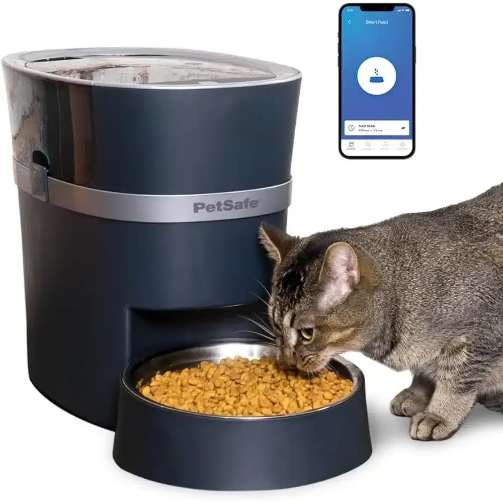Cat Food Dispenser