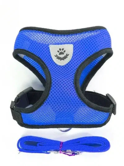 Cat Harness & Leash