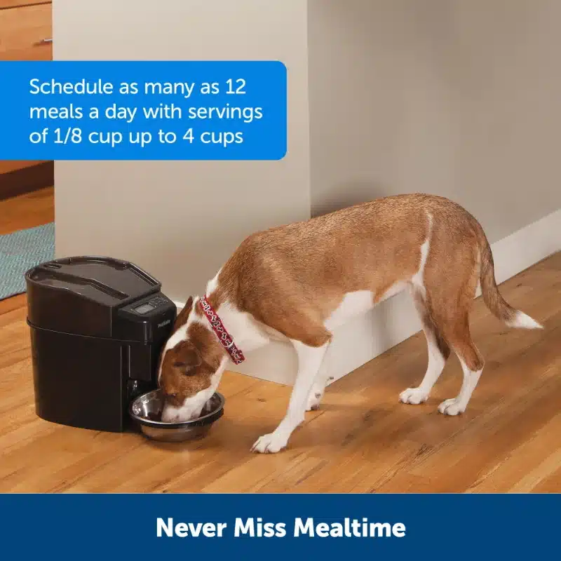 Automatic Cat Feeder - Image 2