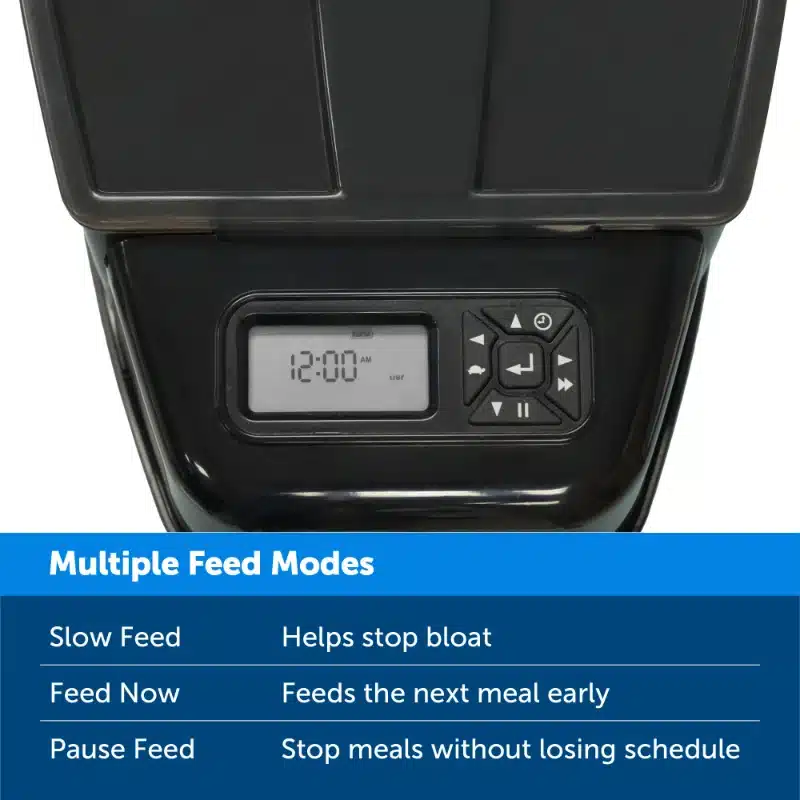 Automatic Cat Feeder - Image 3