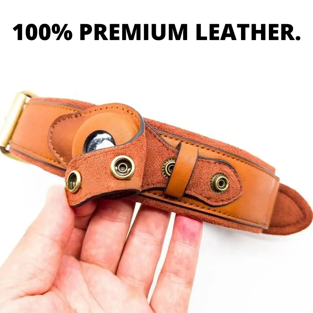 New Leather Anti-Lost Dog Collar With Airtag Holder For The Apple Airtag Heavy Duty Anti Lost Positioning Collar Dog Accessories - Image 3