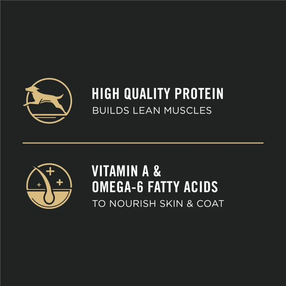 Purina Pro Plan Puppy Dry Dog Food High Protein, Real Chicken & Rice, 34 lb Bag - Image 5