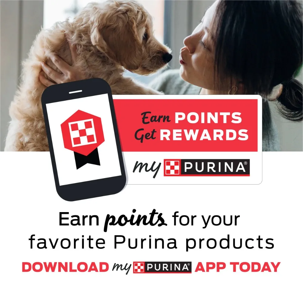 Purina Beneful Dry Dog Food for Adults Healthy Weight, Farm Raised Chicken, 28 lb Bag - Image 2