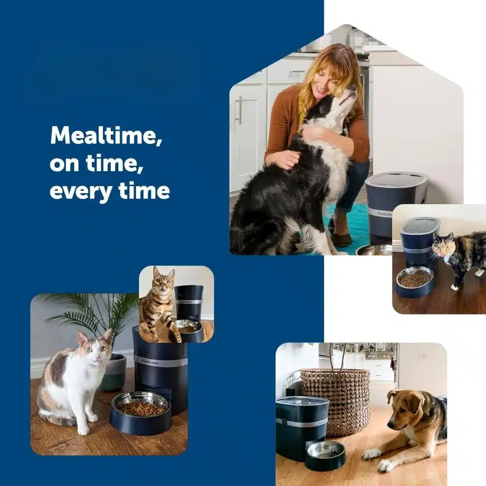 Cat Food Dispenser - Image 5