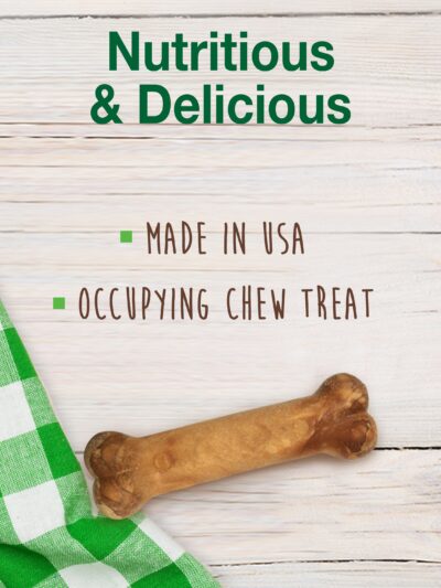 Nylabone Healthy Edibles AllNatural Long Lasting Chew Treats Bacon, 1ea/XS/Petite  Up To 15 Lbs. 2 ct