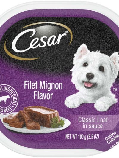 Cesar Classic Loaf in Sauce Adult Wet Dog Food Filet Mignon 3.5oz 24pk