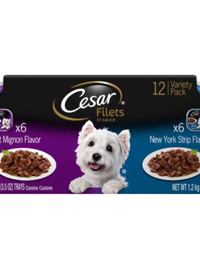 Cesar Filets in Gravy Adult Wet Dog Food Variety Pack (Filet Mignon, New York Strip) 42.3oz 12pk