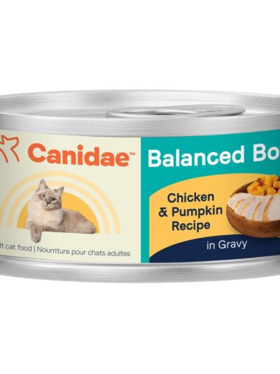 CANIDAE Balanced Bowl Canned Cat Food Chicken  Pumpkin, 24ea/3 oz