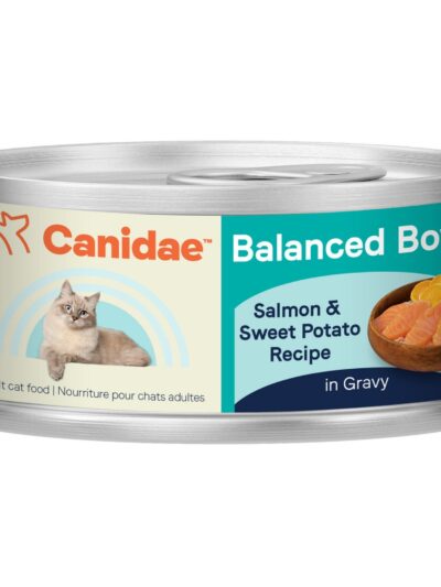 CANIDAE Balanced Bowl Canned Cat Food Salmon  Sweet Potato, 24ea/3 oz